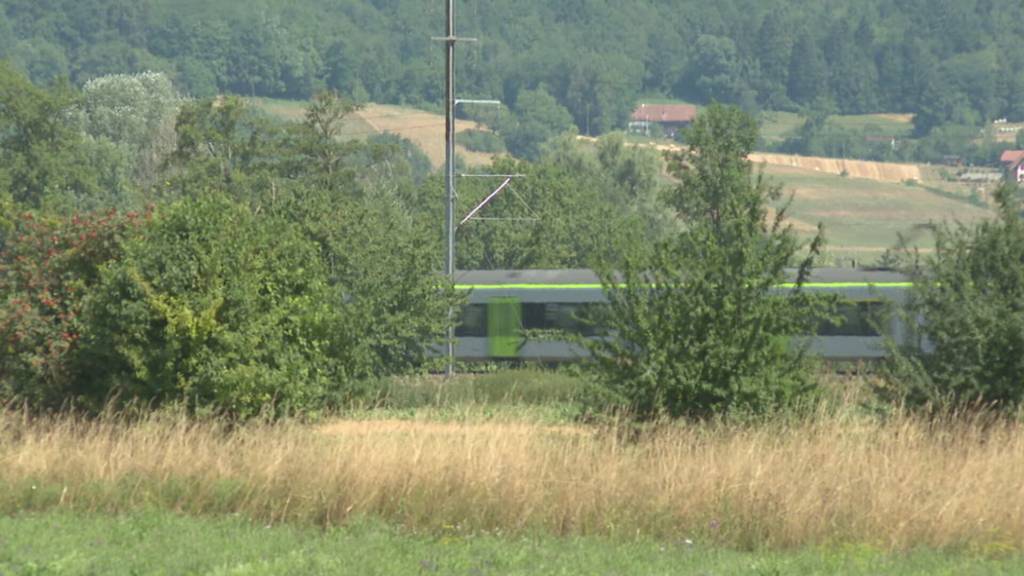 Mehr Wildruhezonen im Kanton Freiburg