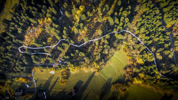 In Graubünden eröffnet der längste Baumwipfelpfad der Welt