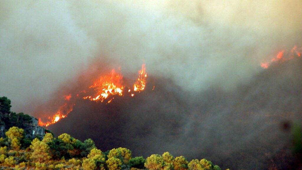 Waldbrand in Spanien (Guadalajara) zerstört rund 32.000 Hektar Land (Archivbild).