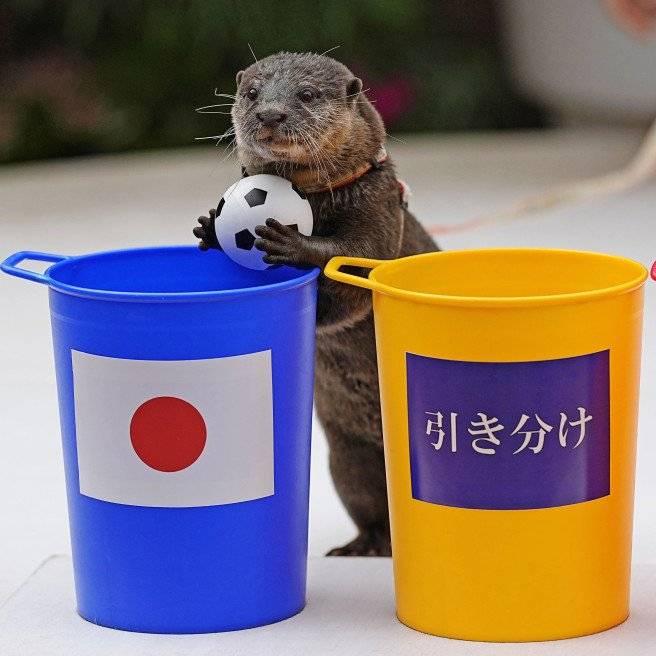 Otter prophezeite Japans Sieg gegen Deutschland