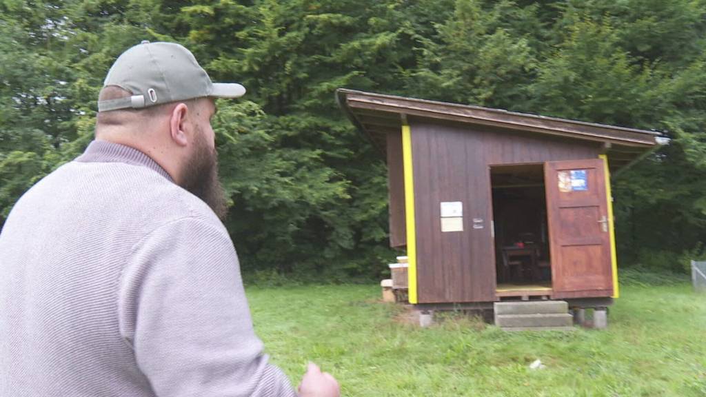 Asiatische Hornisse wird zur Gefahr für einheimische Bienen