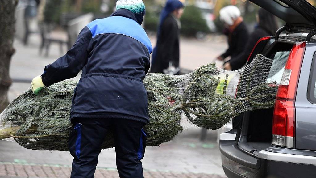Rund 500'000 Schweizer Christbäume dürften in den nächsten Wochen verkauft werden. Trotz Frostschäden gibt es keinen Versorgungsengpass. (Archivbild)