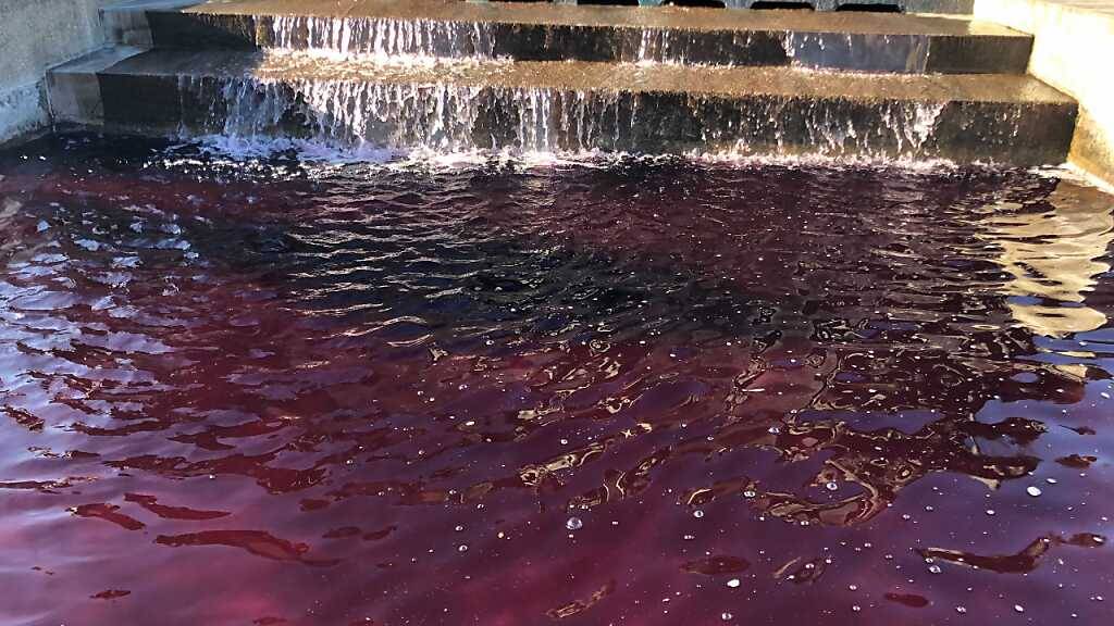 Frauen färben Brunnenwasser anlässlich des Frauenstreiks lila ein