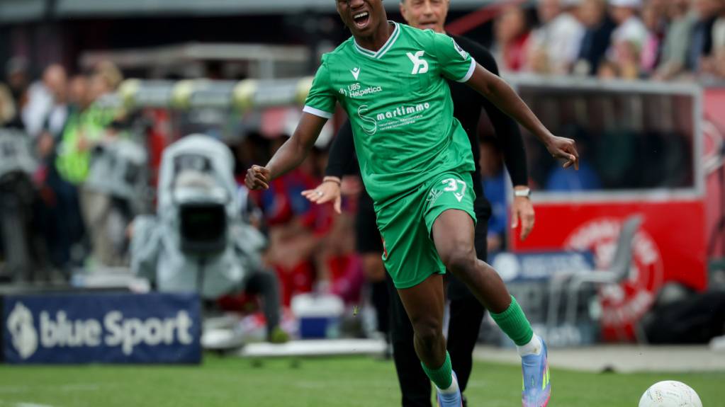 Junger Franzose für den FC Sion