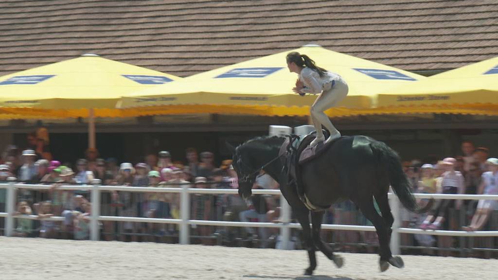 Voltige Show an Zuger Springkonkurrenz