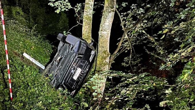 20-Jähriger stürzt mit Auto Böschung hinunter und kracht in Baum