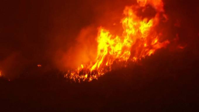 Waldbrände in Portugal haben bereits über 100'000 Hektar verbrannt