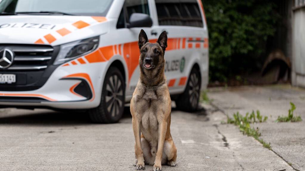 Polizei nimmt in Rapperswil SG mutmassliche Autodiebe fest