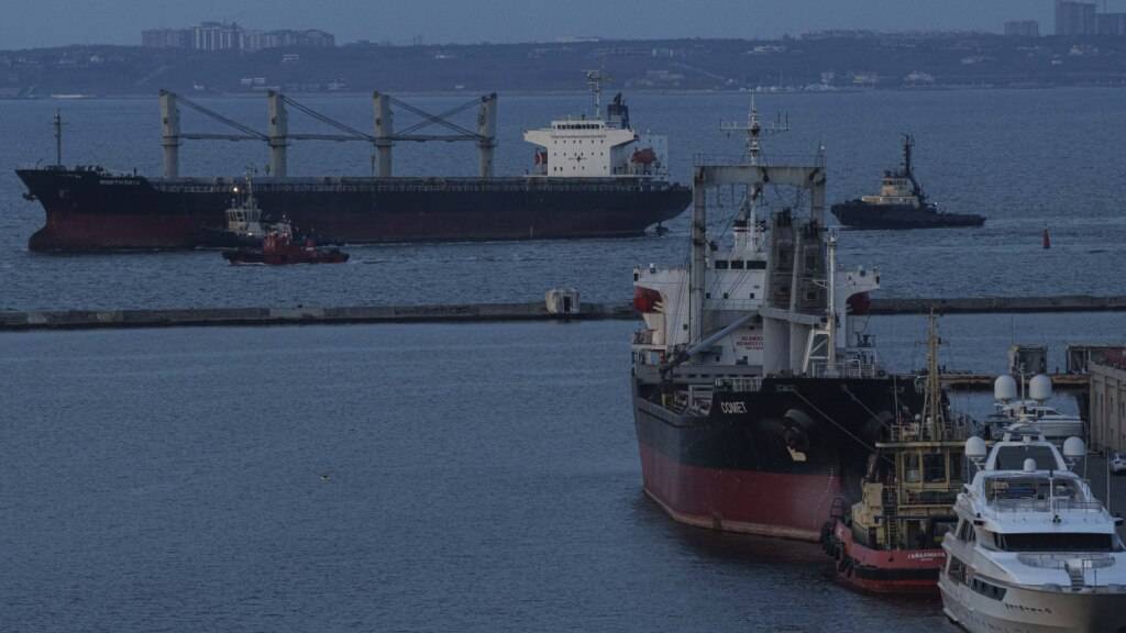 ARCHIV - Ein Schiff im Hafen. Foto: Evgeniy Maloletka/AP/dpa