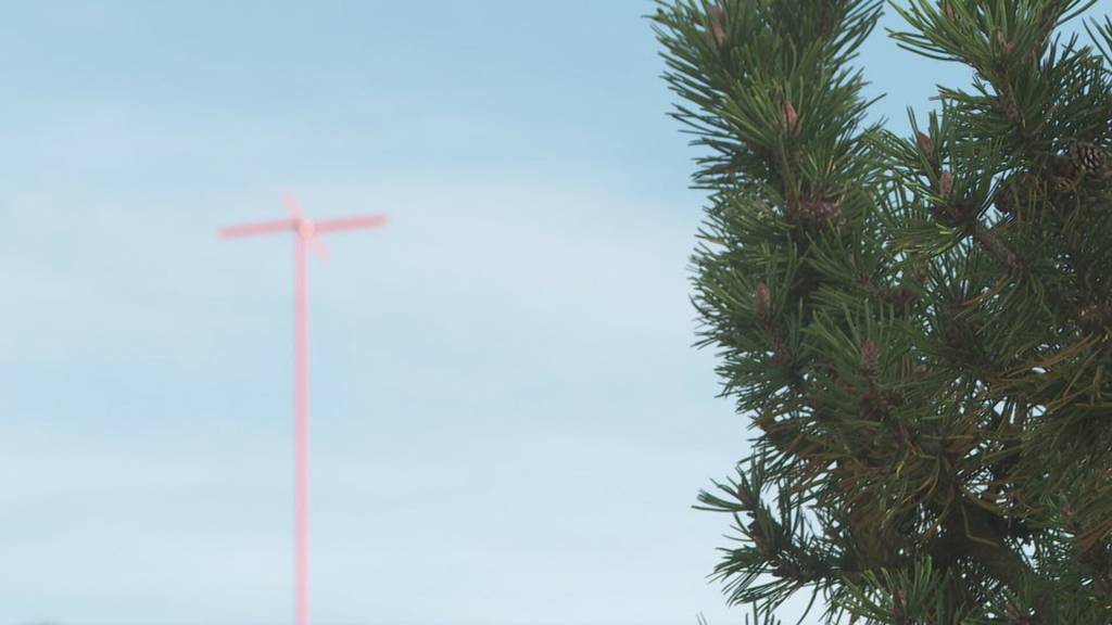 Bundesgerichtentscheid: Mobilfunkstreit in Walzenhausen geht weiter