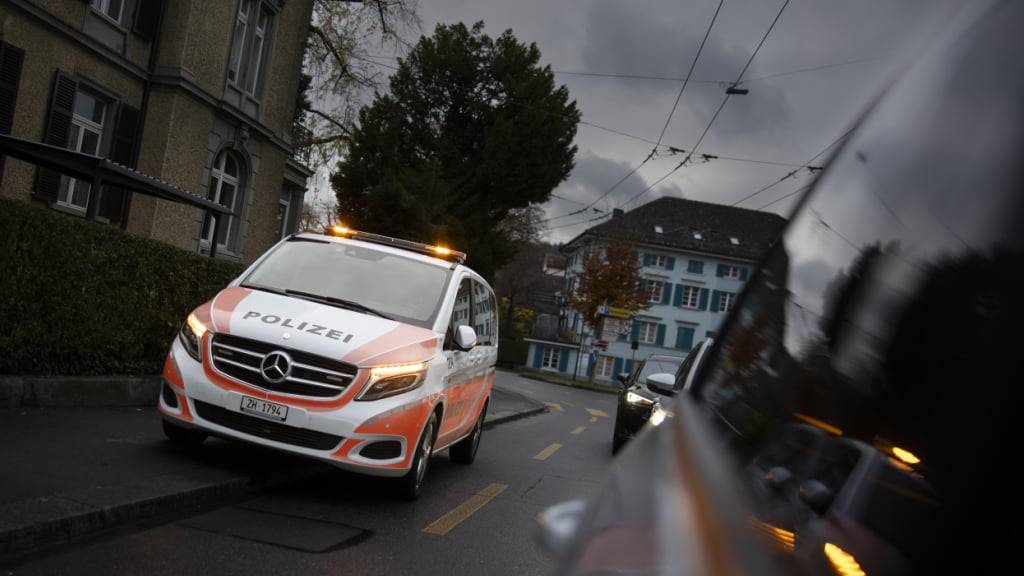 Im Winterthurer Industriequartier Grüze ist ein 87-jähriger Lenker frontal mit einer Laterne kollidiert. Der Mann starb in der Nacht auf Mittwoch im Spital. (Symbolbild)