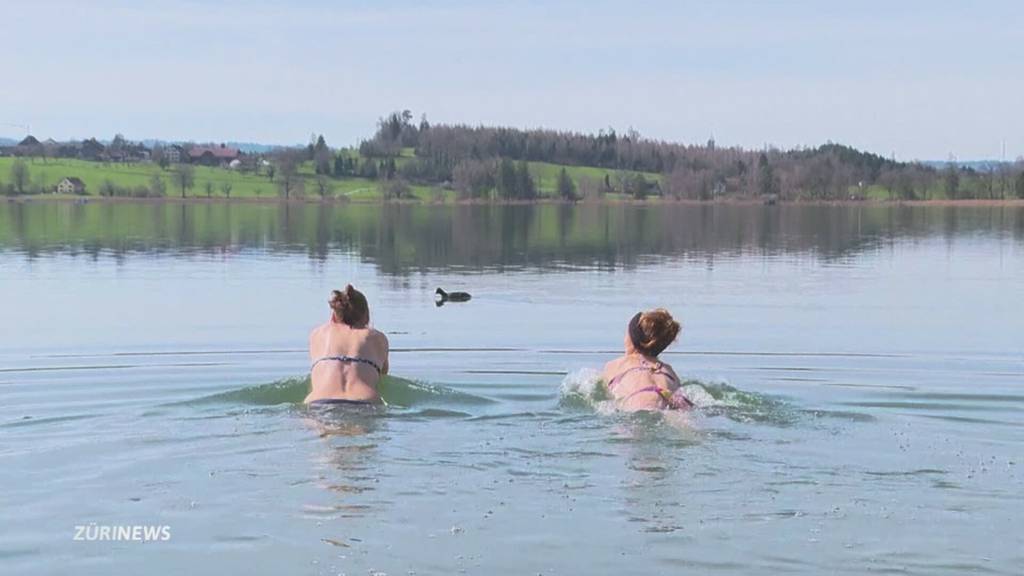 Kribbeln in Zürich: Frühster Frühlingsanfang seit 128 Jahren