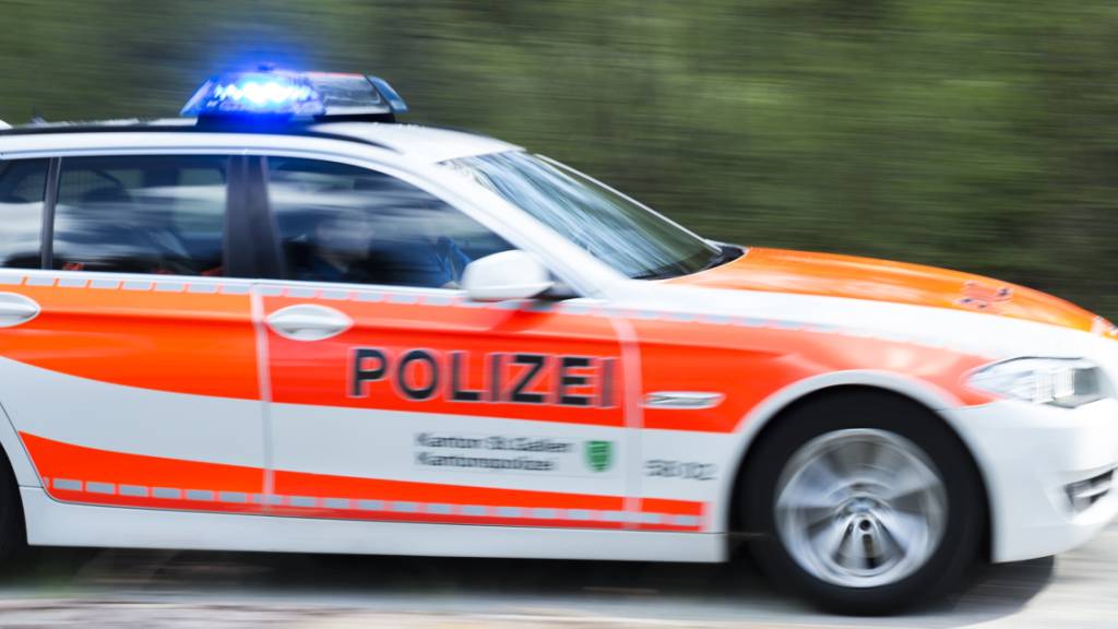 Der Unfall ereignete sich auf der A13 bei Montlingen. (Symbolbild)