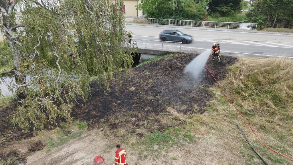 Wiesenbrand bei Autobahnzubringer in Müllheim