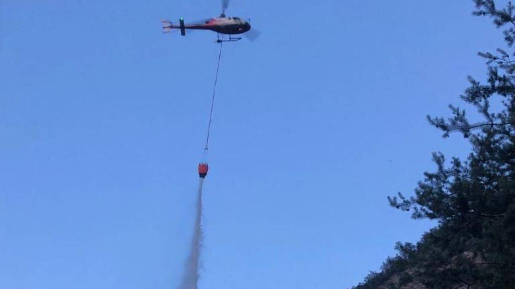 Feuerwehr und Polizei konnten das Feuer in einem Wald bei Riddes VS in knapp zwei Stunden löschen. Unterstützung erhielten sie von einem Helikopter der Air-Glaciers.