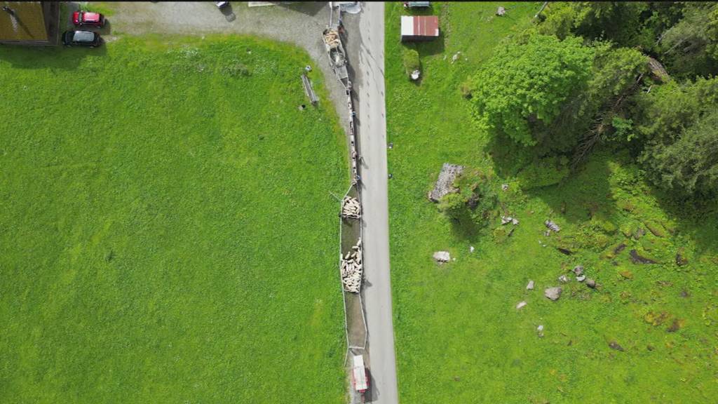 Dusche für Schafe vor Alpaufzug