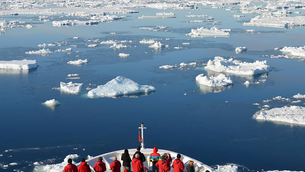 Brände und Tourismus lassen Eis in der Antarktis schmelzen