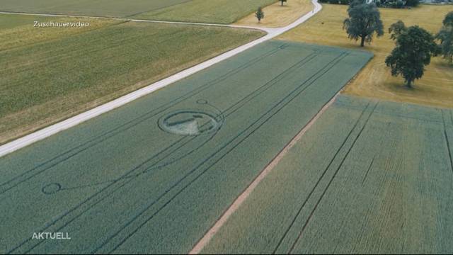 Mysteriöser Kornkreis in Uster