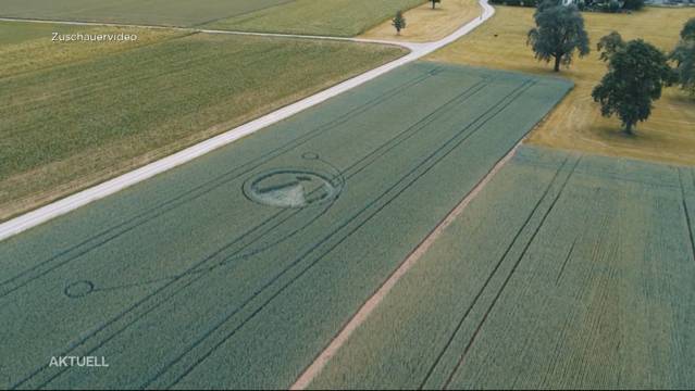 Mysteriöser Kornkreis in Uster