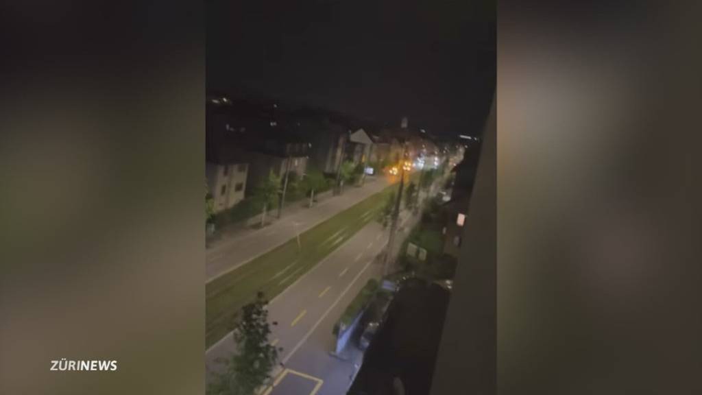 Tötungsdelikt in Dietikon: Opfer und Täter stritten sich oft