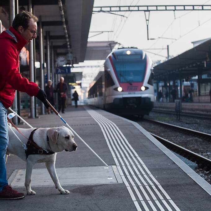 Luzern will Assistenz- und Therapiehunde von der Steuer befreien