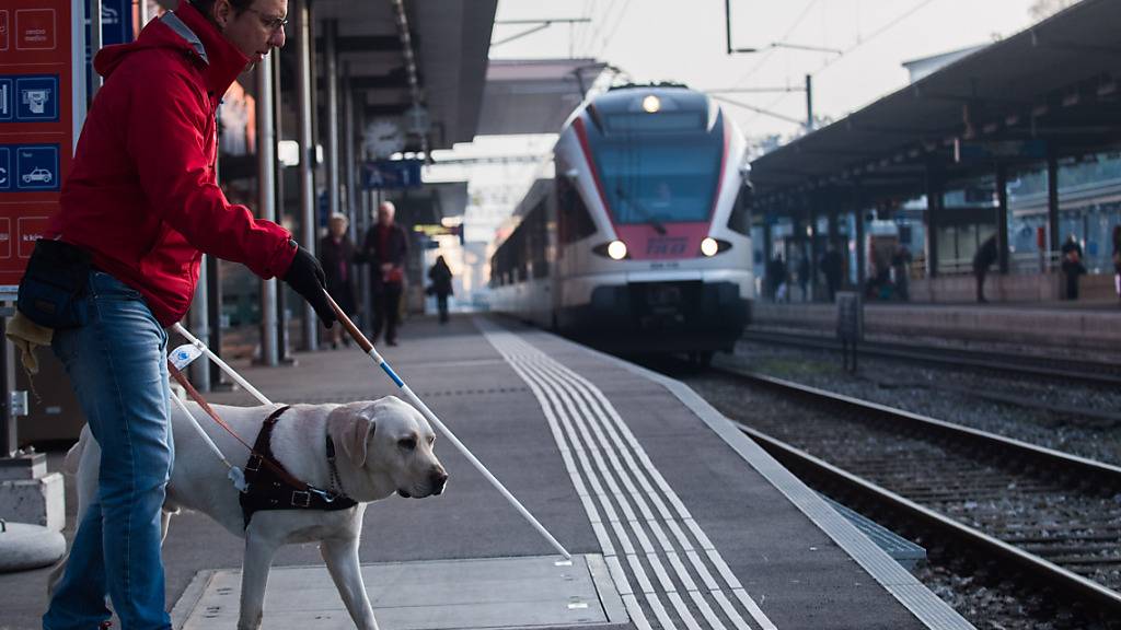 Hunde, die Blinde unterstützen, sind im Kanton Luzern bereits von der Hundesteuer befreit. (Archivaufnahme)