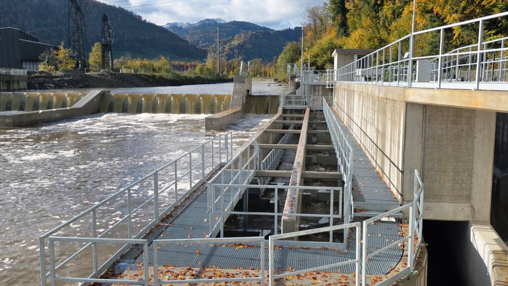 Das neue Wehr mit Fischwanderanlage beim Wasserkraftwerk Emmenweid in Emmen LU.