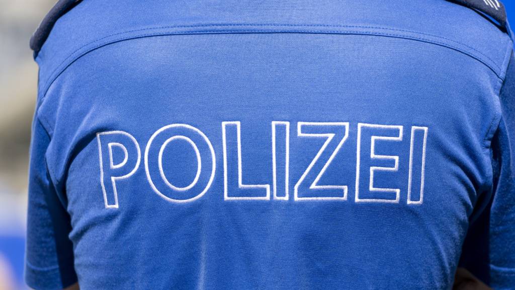 Bei einem Auffahrunfall auf der A2 bei Sempach LU entstand am Mittwochvormittag laut Polizeiangaben Sachschaden von mehreren tausend Franken. (Symbolbild)