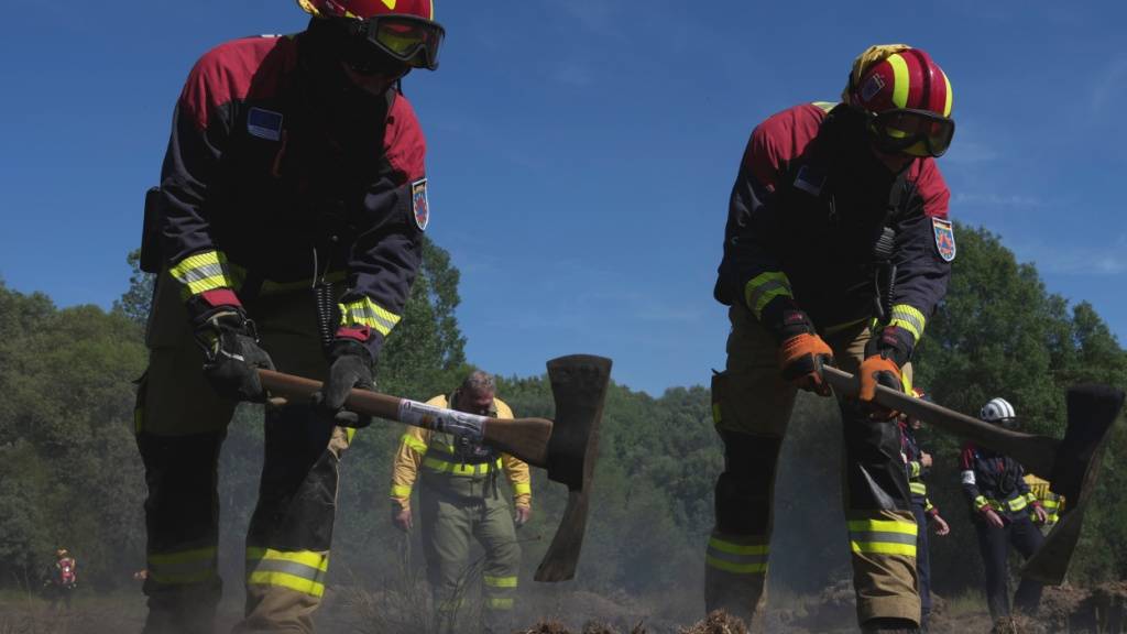 Waldbrände in Südeuropa: Feuer wütet bei Athen