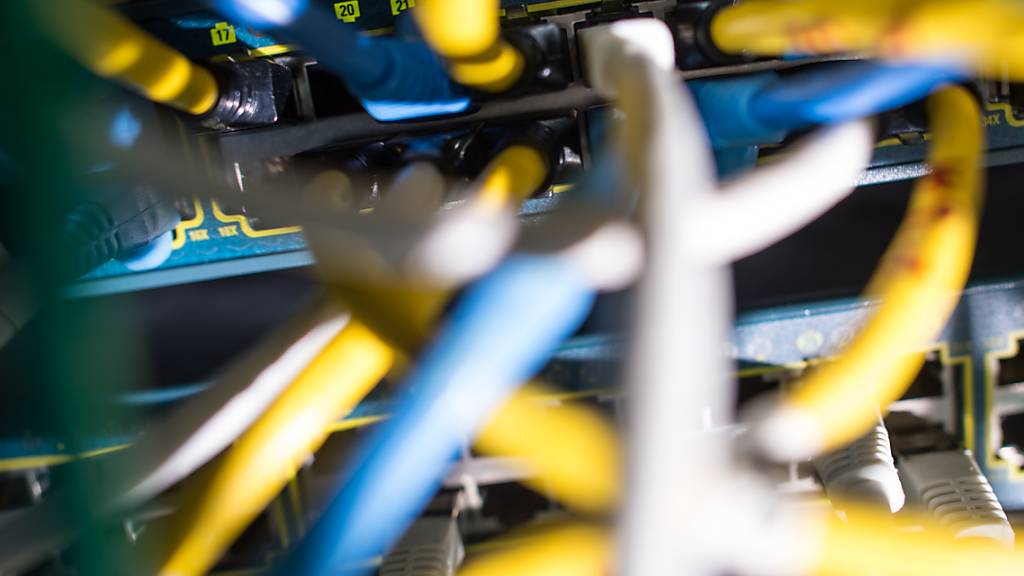 ARCHIV - Netzwerkkabel stecken in einem Serverraum in einem Switch. Wegen des Verdachts der bandenmäßigen Verbreitung von kinderpornografischen Inhalten hat die Polizei drei Männer in Deutschland festgenommen. Foto: Matthias Balk/dpa