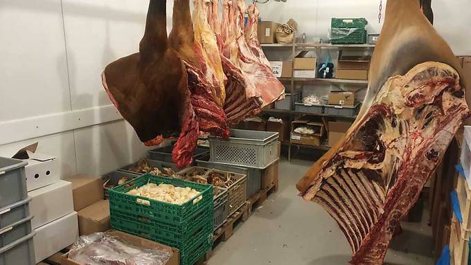 500 Tonnen Futter jährlich: Einblick in die Zürcher Zoo-Küche