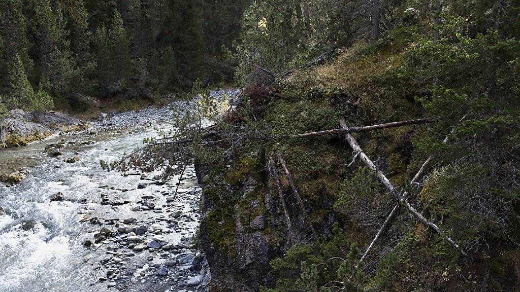 Verseuchte Wildnis: Der Bach Spöl im Nationalpark ist mit krebserregendem PCB kontaminiert. (Archivbild)