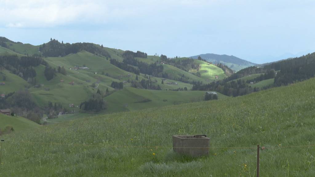 Nach Sechseläuten-Desaster springt Ausserrhoden in die Bresche