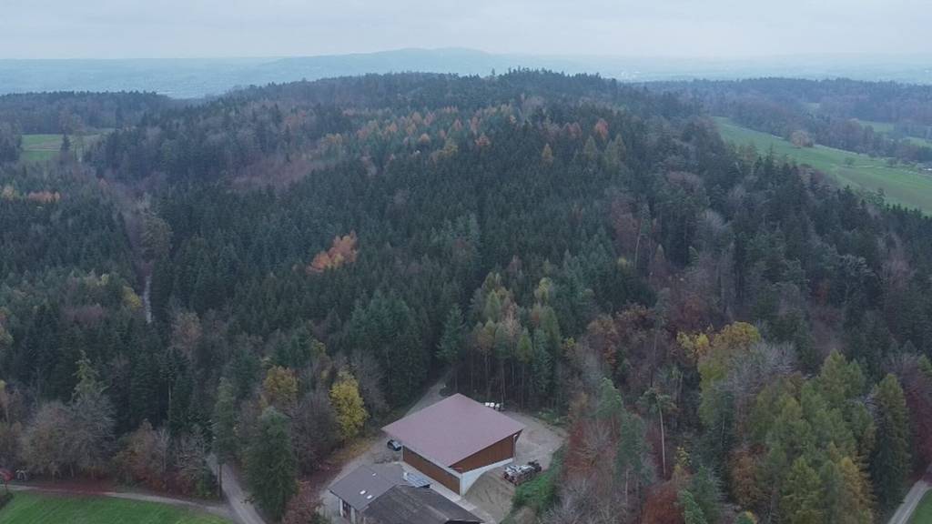 Heisse Phase im Windpark-Knatsch: Thundorf-Abstimmungskampf spitzt sich zu