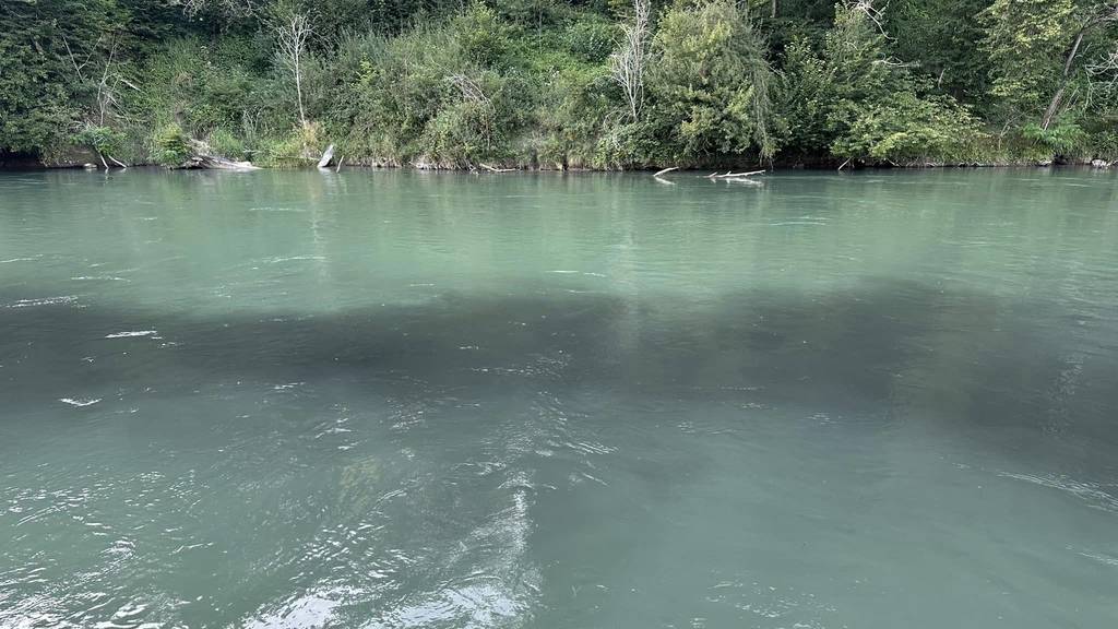 Verschmutztes Wasser Aare bei Aarwangen