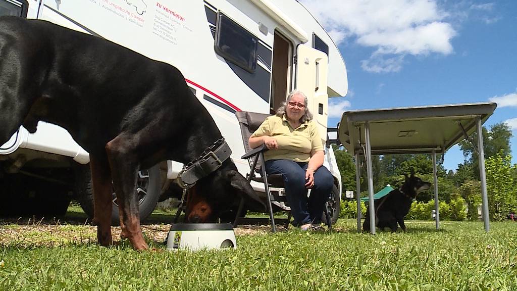 Mit dem Hund in die Ferien