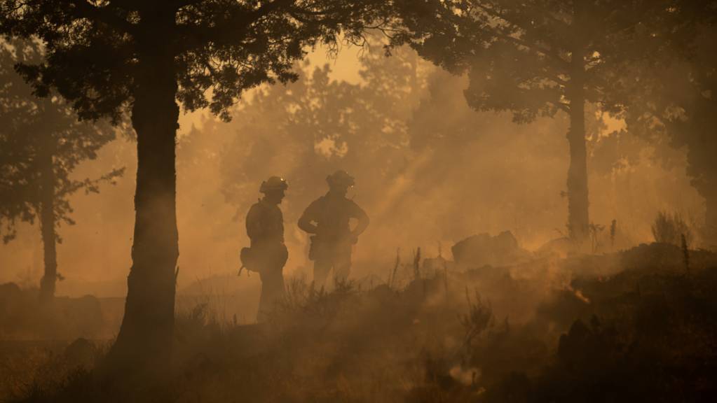 Feuerwehrleute im Einsatz gegen das Lava-Feuer. In Nordkalifornien kämpften rund 800 Feuerwehrleute gegen einen Waldbrand an, der sich innerhalb kurzer Zeit rasch ausgebreitet hatte.