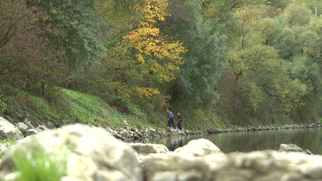 Nach Fund von Leichenteilen beim Rhein in Stein: Opfer wurde identifiziert
