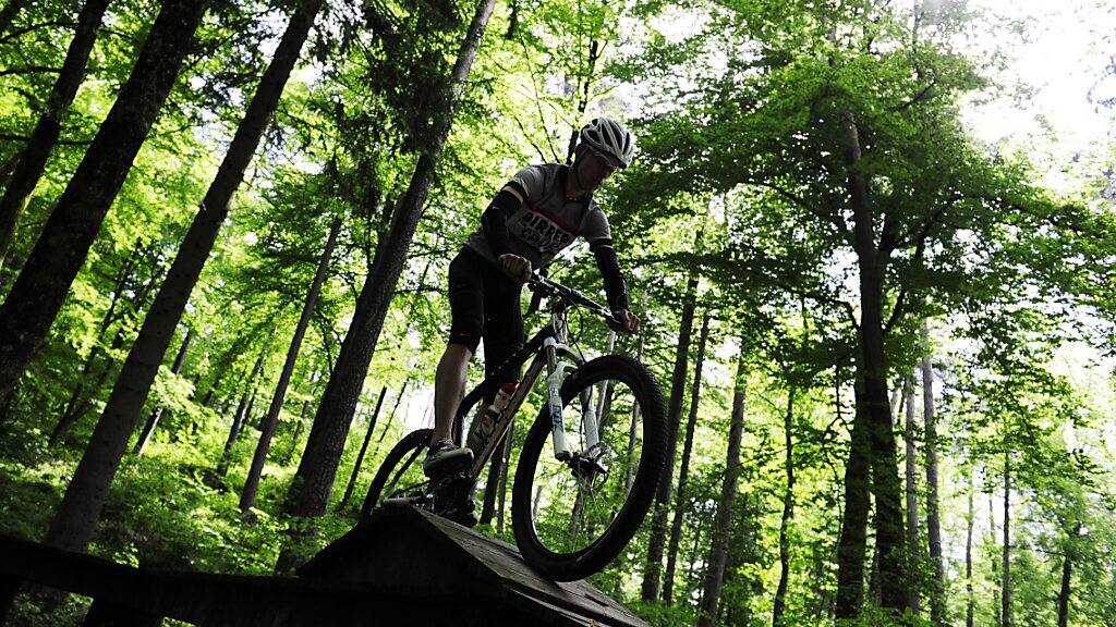 Das Biken im Wald wird im Kanton Zug auf Bikerouten und Waldstrassen beschränkt. (Symbolbild)