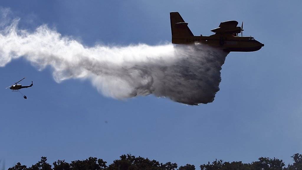 Die Notfallbehörden bekämpfen die Waldbrände auf der italienischen Ferieninsel Sardinien mit Löschflugzeugen. (Symbolbild)