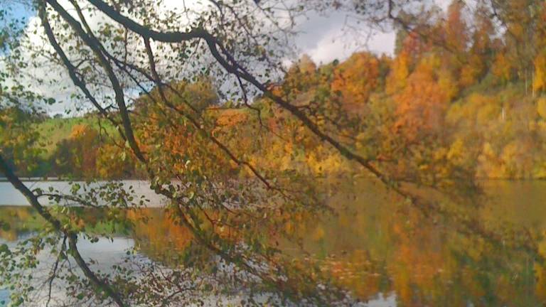 Raus in die Natur - der Herbst von seiner schönsten Seite