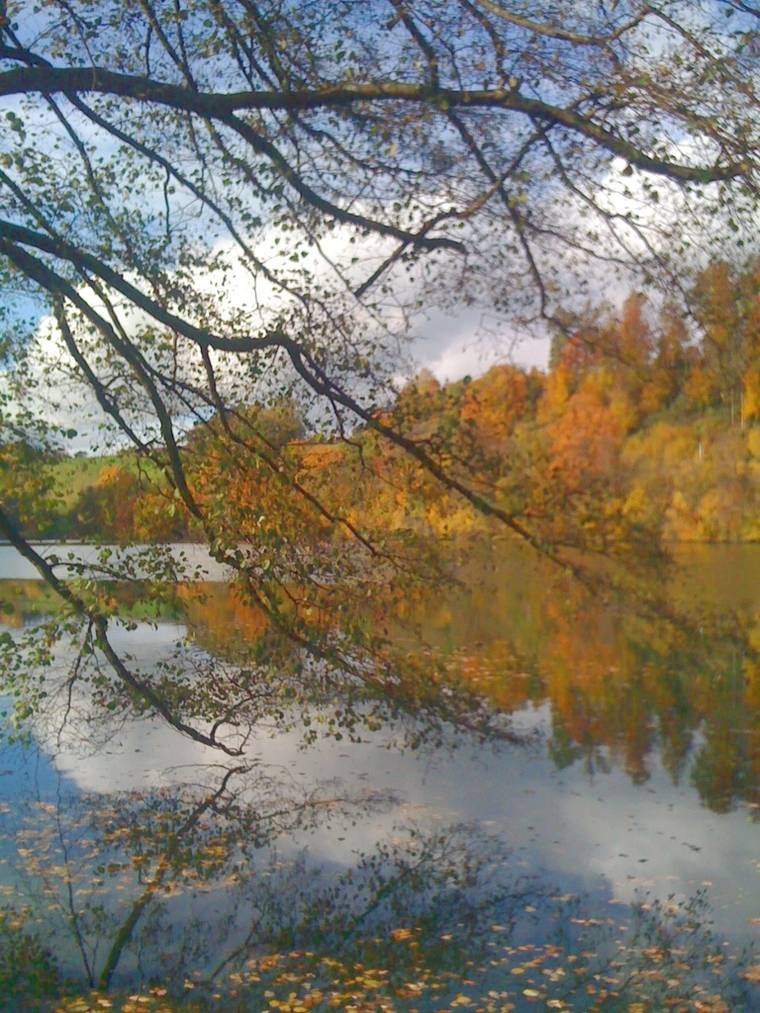 Raus in die Natur - der Herbst von seiner schönsten Seite