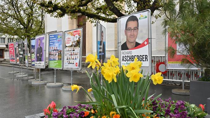 Wahlwerbung im Kanton Solothurn: Verordnung stösst auf Widerstand
