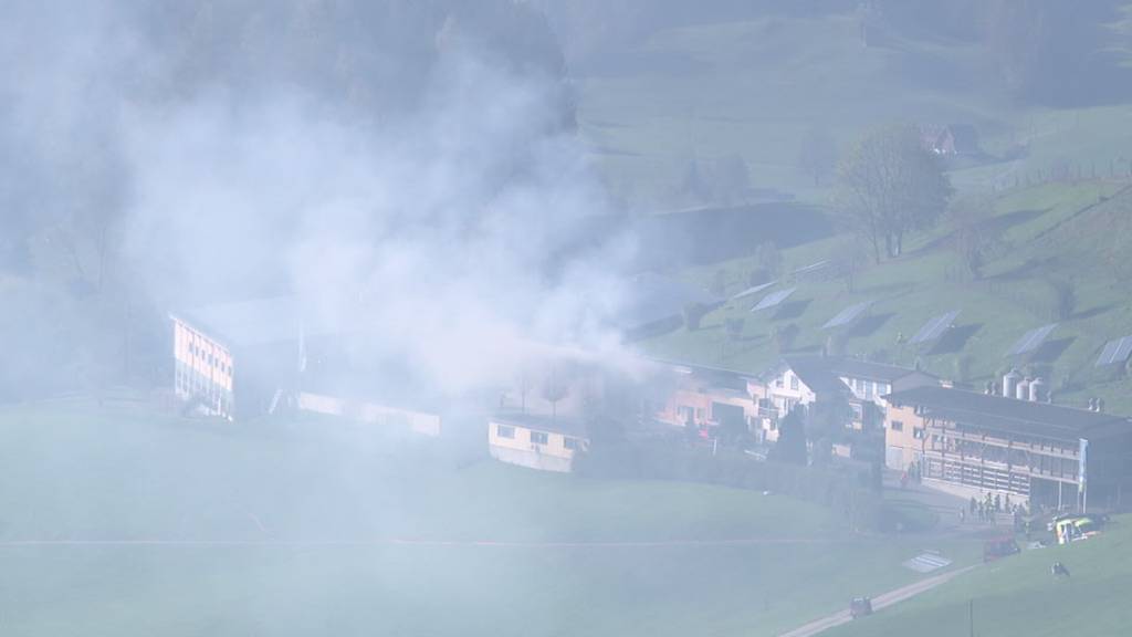 Brand bei Hasler Hühnerhof: Eine Person leicht verletzt