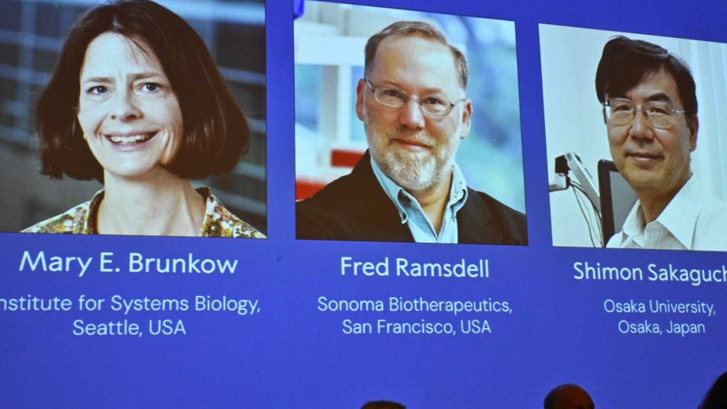 dpatopbilder - Ein Bildschirm zeigt die Fotos von Mary E. Brunkow, Fred Ramsdell und Shimon Sakaguchi, denen der Nobelpreis für Medizin oder Physiologie verliehen wurde, bei der Nobelversammlung des Karolinska Institutet in Stockholm, Schweden. Foto: Claudio Bresciani/TT News Agency/AP/dpa