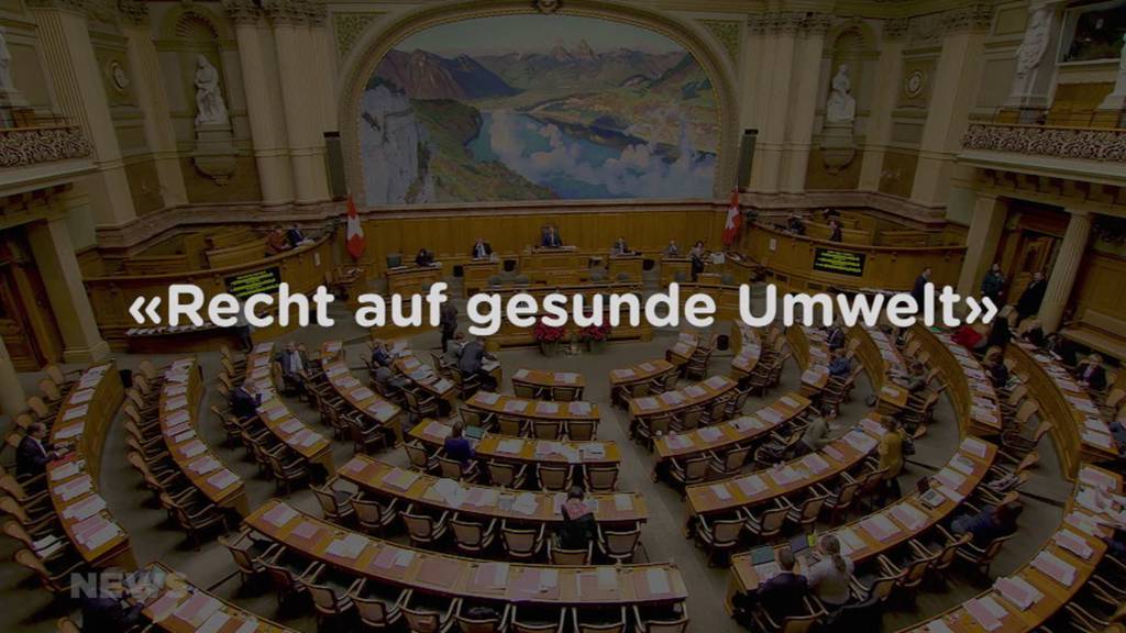 Nur zwölf Prozent der Vorstösse kommen im Parlament durch