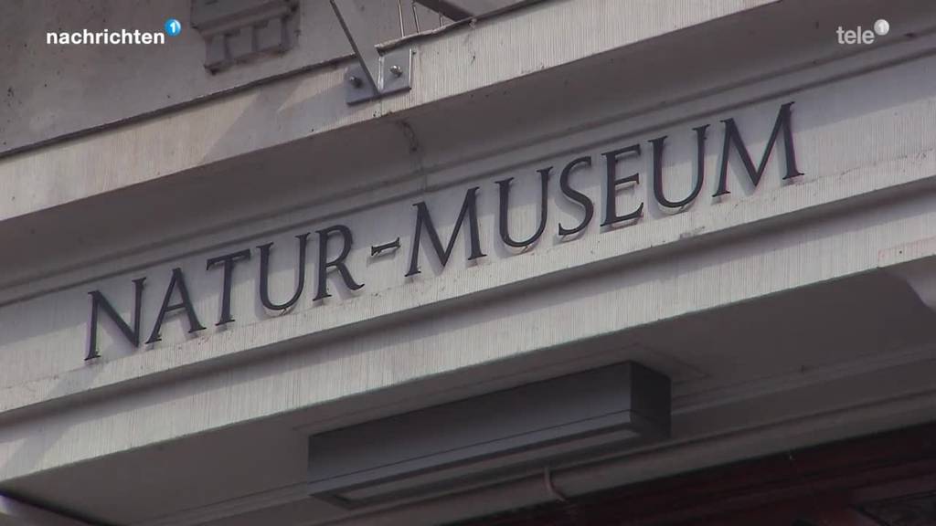 Museum hat ein Konzept aber keinen Standort