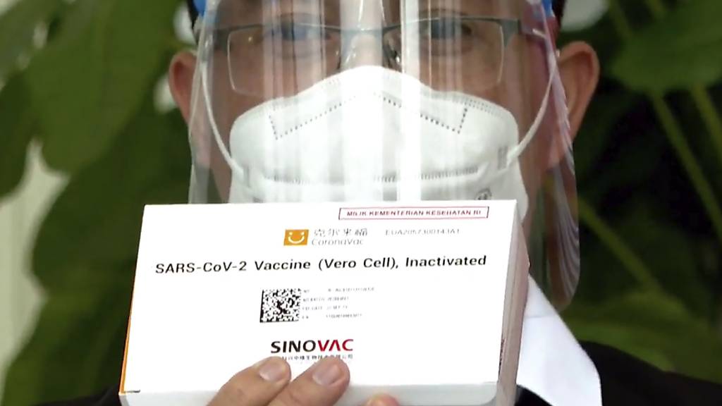 Ein medizinischer Mitarbeiter des Gesundheitsministeriums zeigt eine Schachtel eines in China hergestellten Corona-Impfstoffs, bevor Indonesiens Präsident Widodo im Merdeka-Palast seine erste Impfdosis erhält.