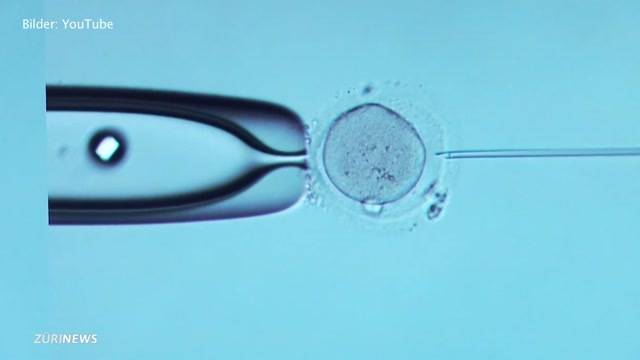 Gegner der Embryonen-Untersuchung eröffnen Abstimmungskampf