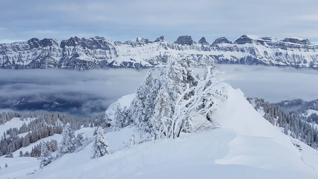 Am Wochenende wird viel Schnee und starker Wind erwartet. Die Bergbahnen Flumserberg freuen sich auf den grossen Schnee.